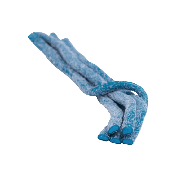 Kleiner Meter Saure Blaubeere - 50cm